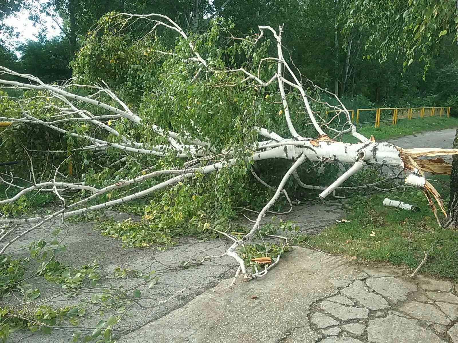 Búrky si vyžiadali takmer 200 zásahov hasičov